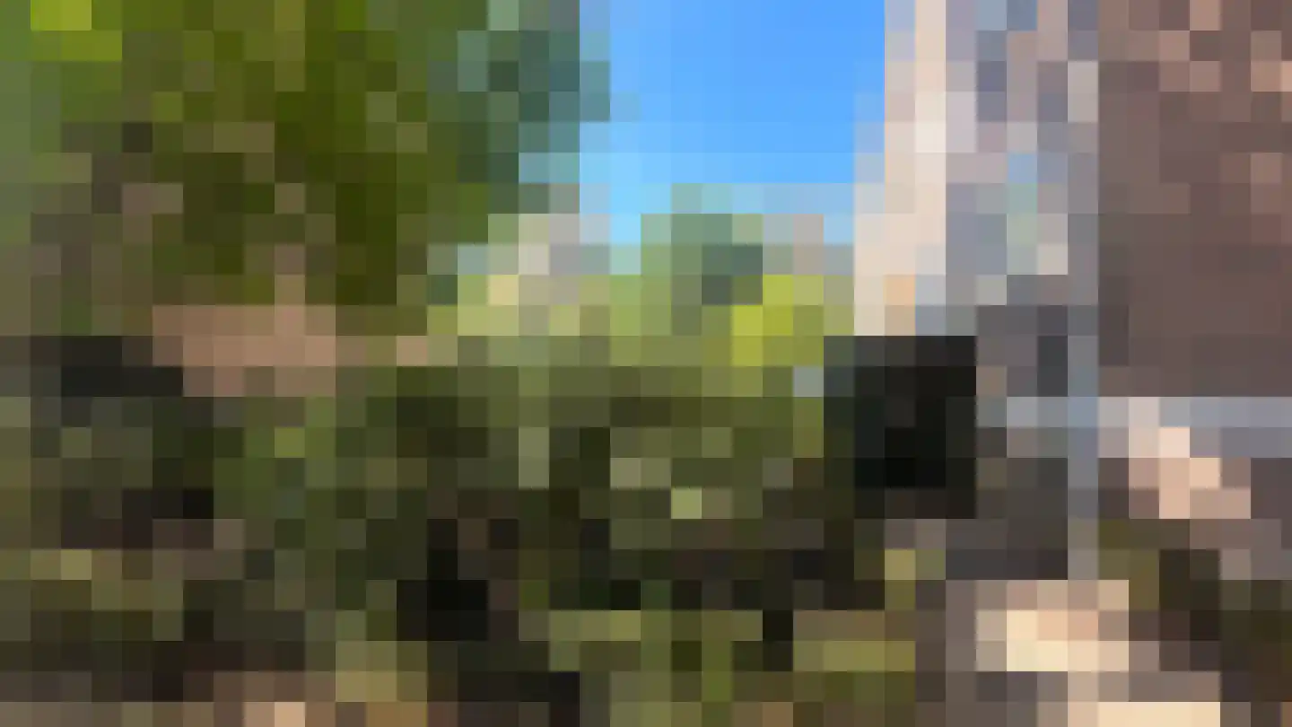 Tulpstraat 20 Rijswijk thumbnail 31