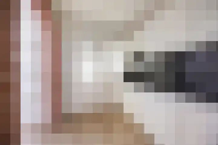 Tulpstraat 20 't Zand thumbnail 11