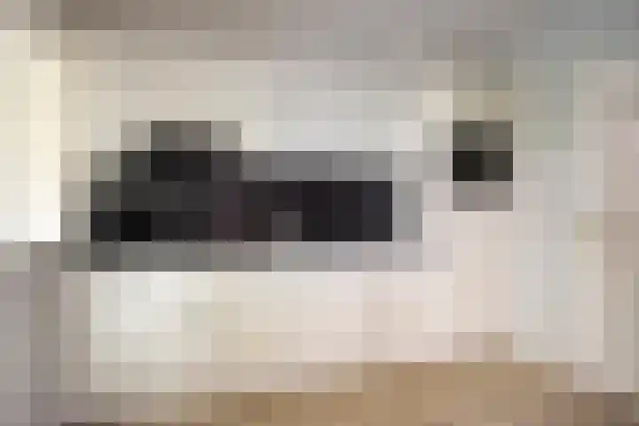 Tulpstraat 20 't Zand thumbnail 12