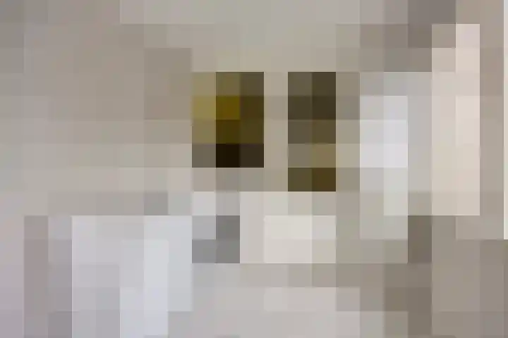 Tulpstraat 20 't Zand thumbnail 14