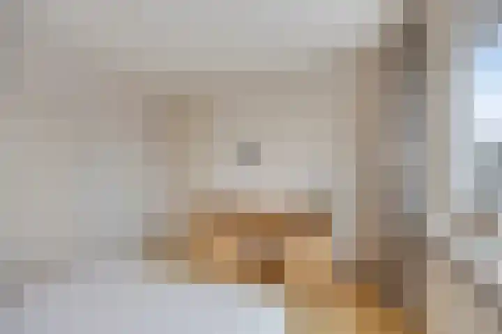 Tulpstraat 20 't Zand thumbnail 21