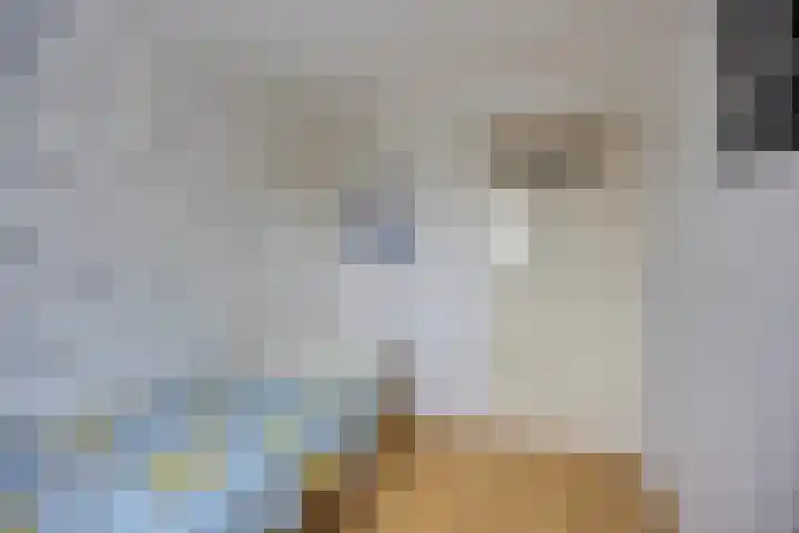 Tulpstraat 20 't Zand thumbnail 23