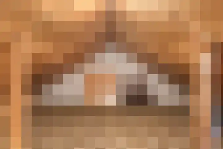 Tulpstraat 20 't Zand thumbnail 25