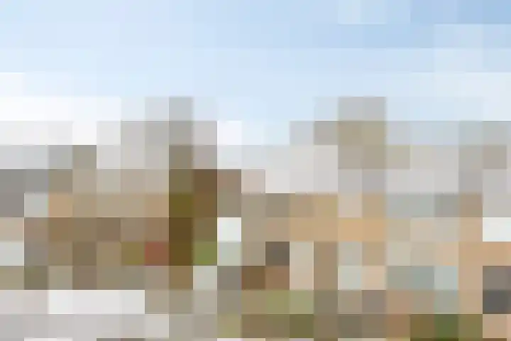 Tulpstraat 20 't Zand thumbnail 26
