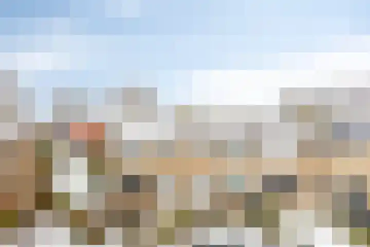 Tulpstraat 20 't Zand thumbnail 27