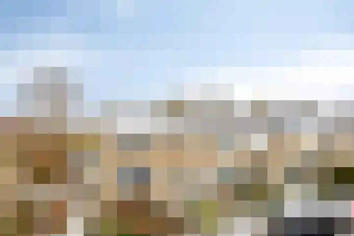 Tulpstraat 20 't Zand thumbnail 28