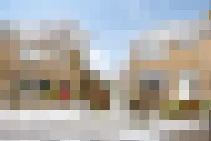 Tulpstraat 20 't Zand thumbnail 29