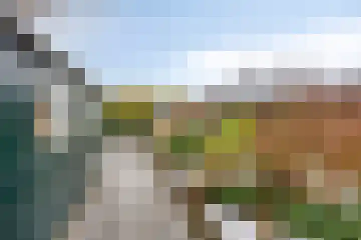 Tulpstraat 20 't Zand thumbnail 30