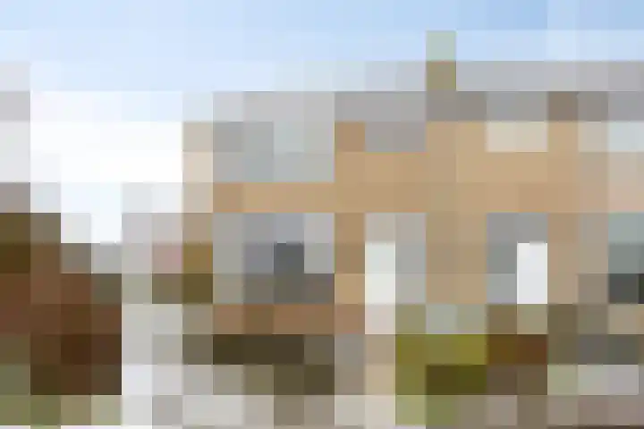 Tulpstraat 20 't Zand thumbnail 4