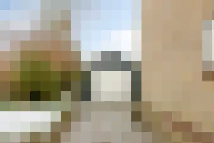 Tulpstraat 20 't Zand thumbnail 5