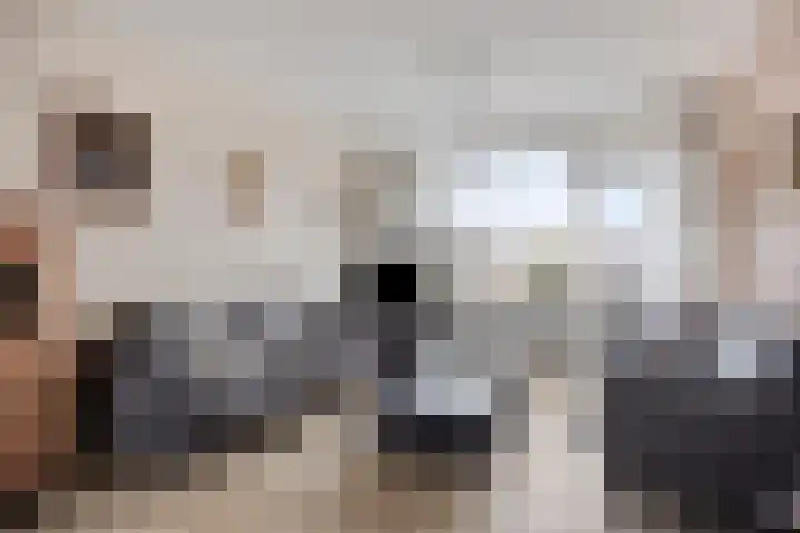 Tulpstraat 20 't Zand thumbnail 8