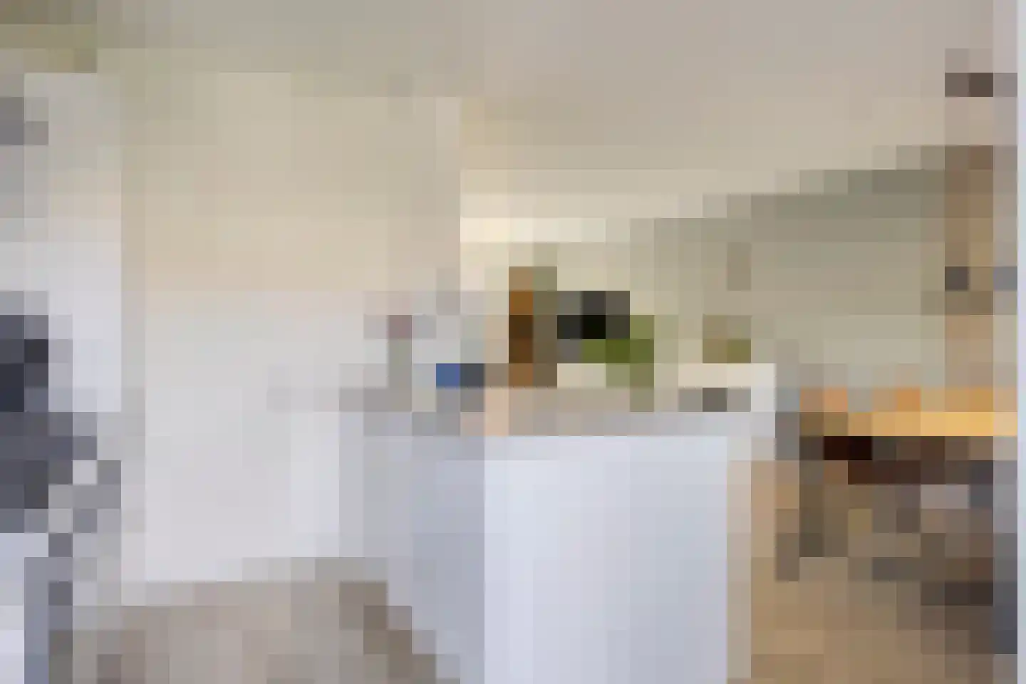 Tulpstraat 21 Goes thumbnail 11