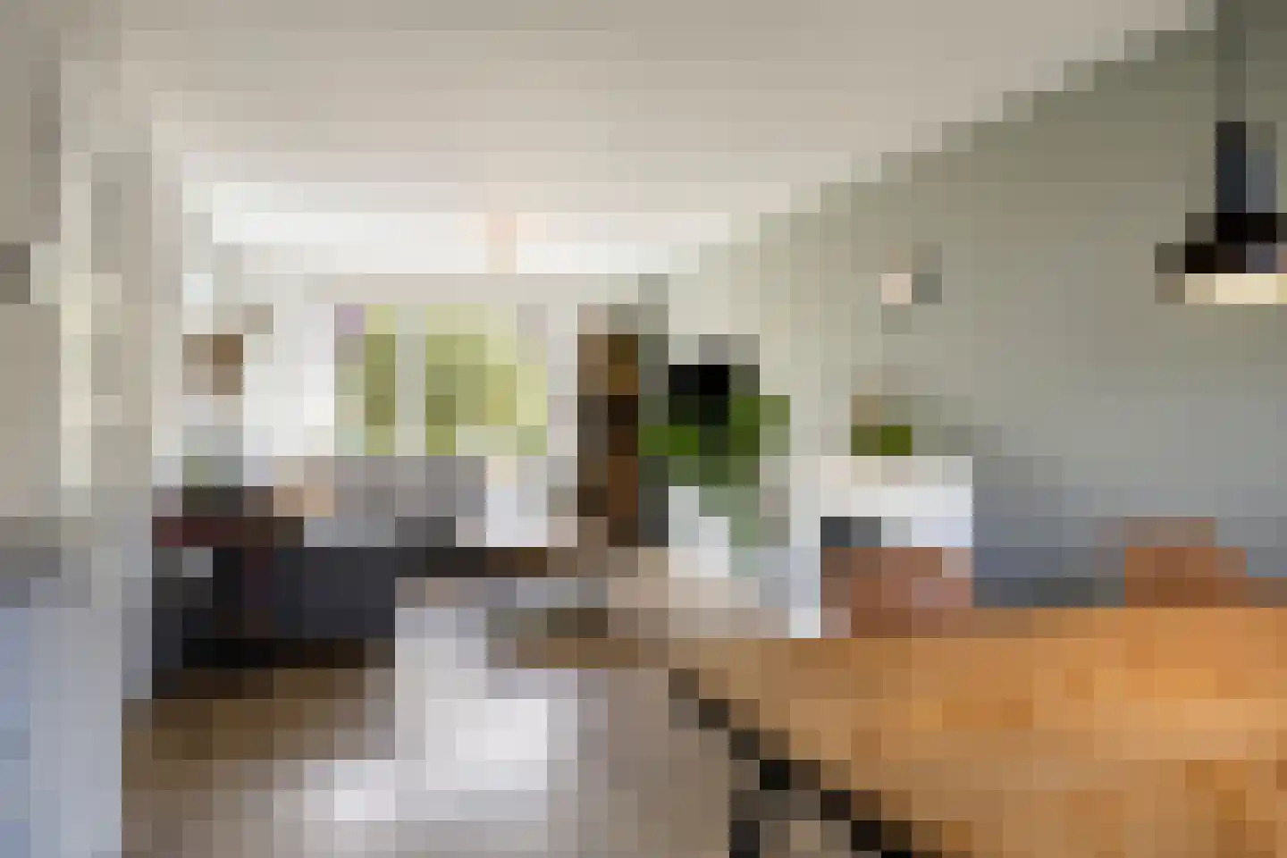 Tulpstraat 21 Goes thumbnail 14