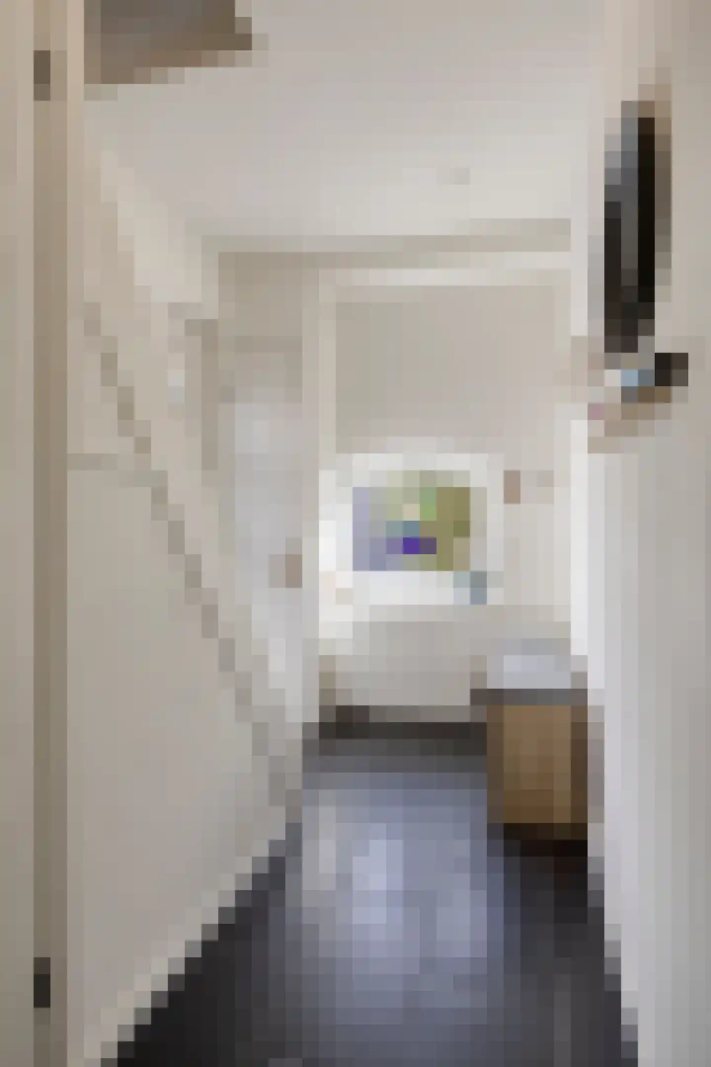 Tulpstraat 21 Goes thumbnail 16
