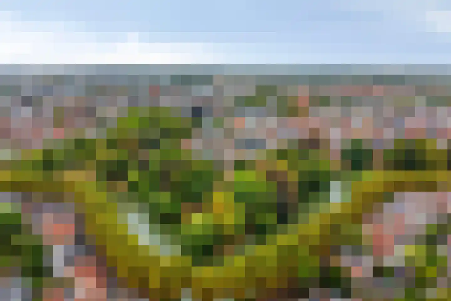 Tulpstraat 21 Goes thumbnail 4