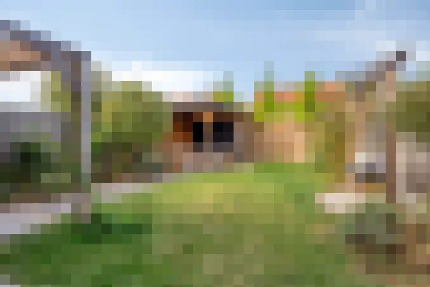 Tulpstraat 21 Goes thumbnail 40