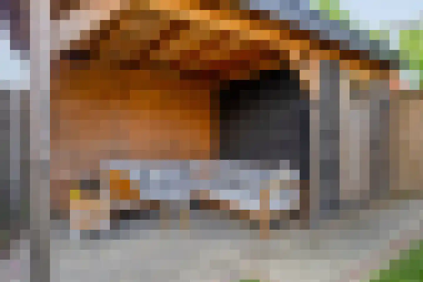 Tulpstraat 21 Goes thumbnail 42