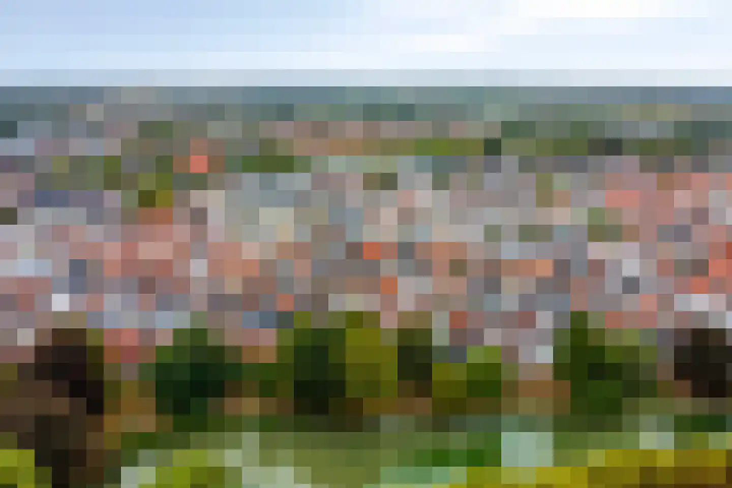 Tulpstraat 21 Goes thumbnail 45