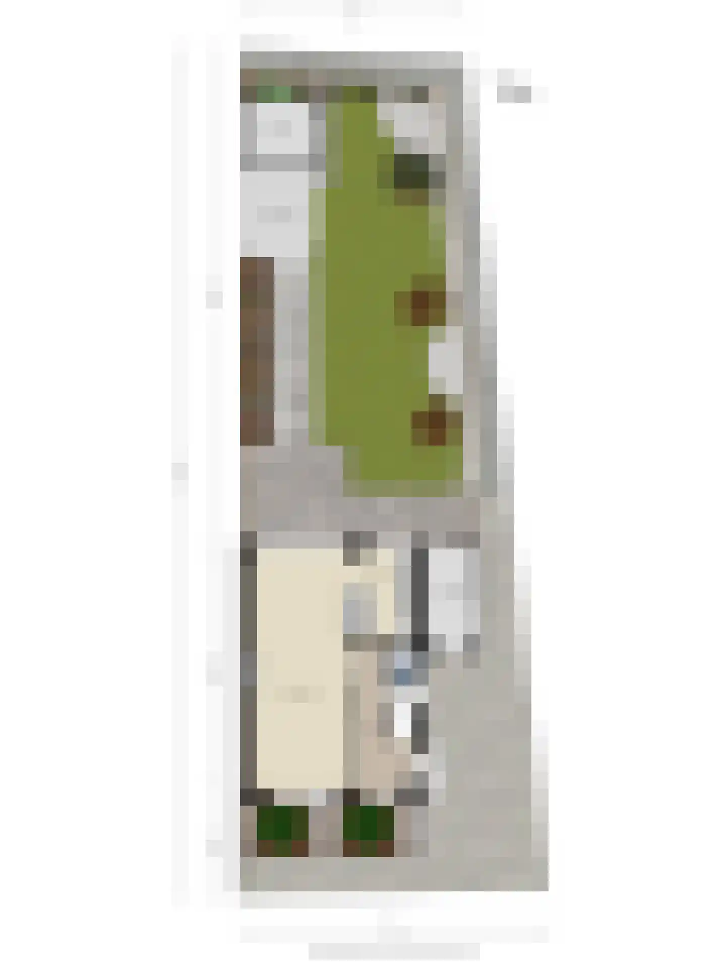 Tulpstraat 21 Goes thumbnail 48