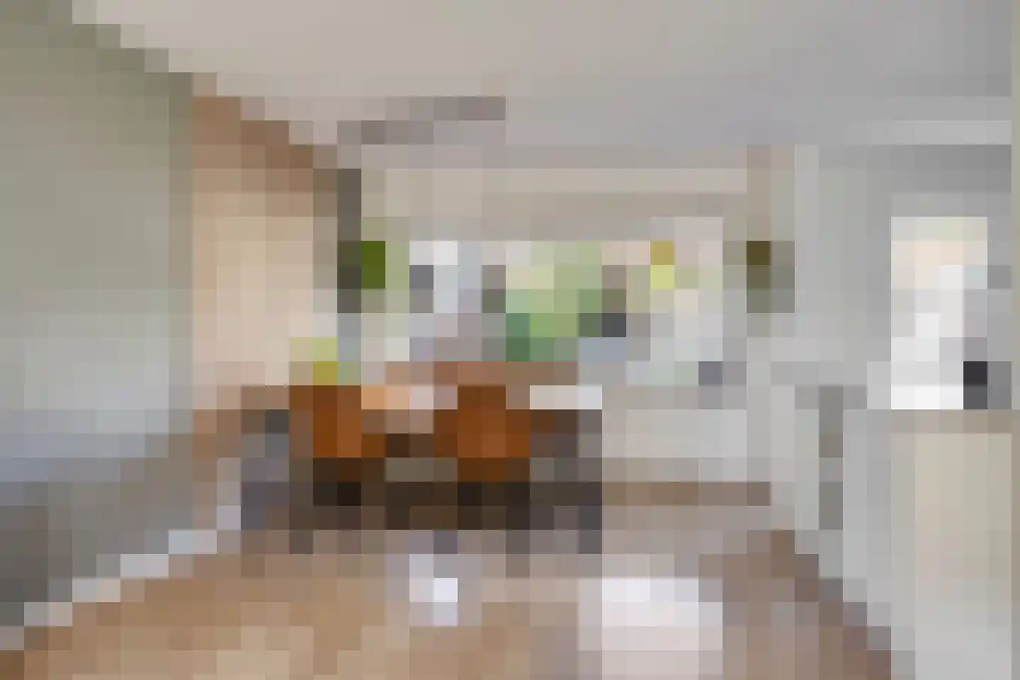 Tulpstraat 21 Goes thumbnail 8