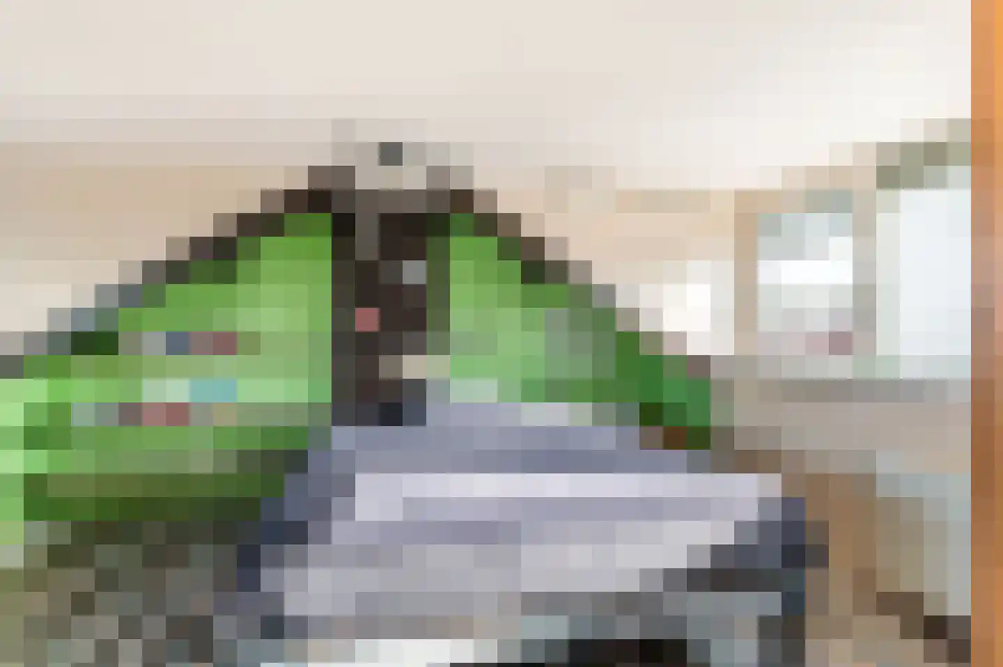 Tulpstraat 21 Noordwijk thumbnail 29