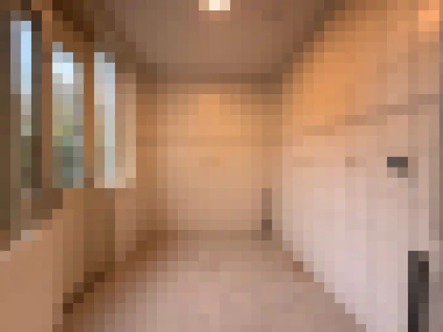 Tulpstraat 22 Hoek thumbnail 15