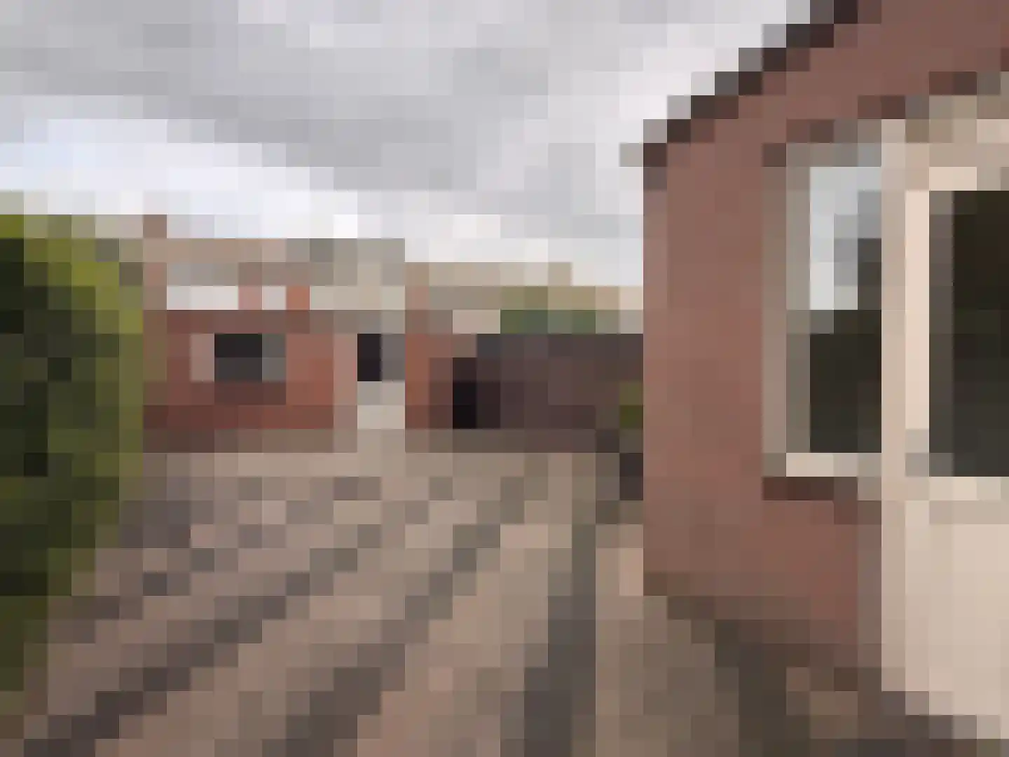 Tulpstraat 22 Hoek thumbnail 17