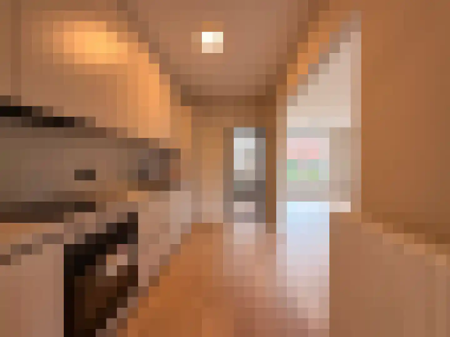 Tulpstraat 22 Hoek thumbnail 7