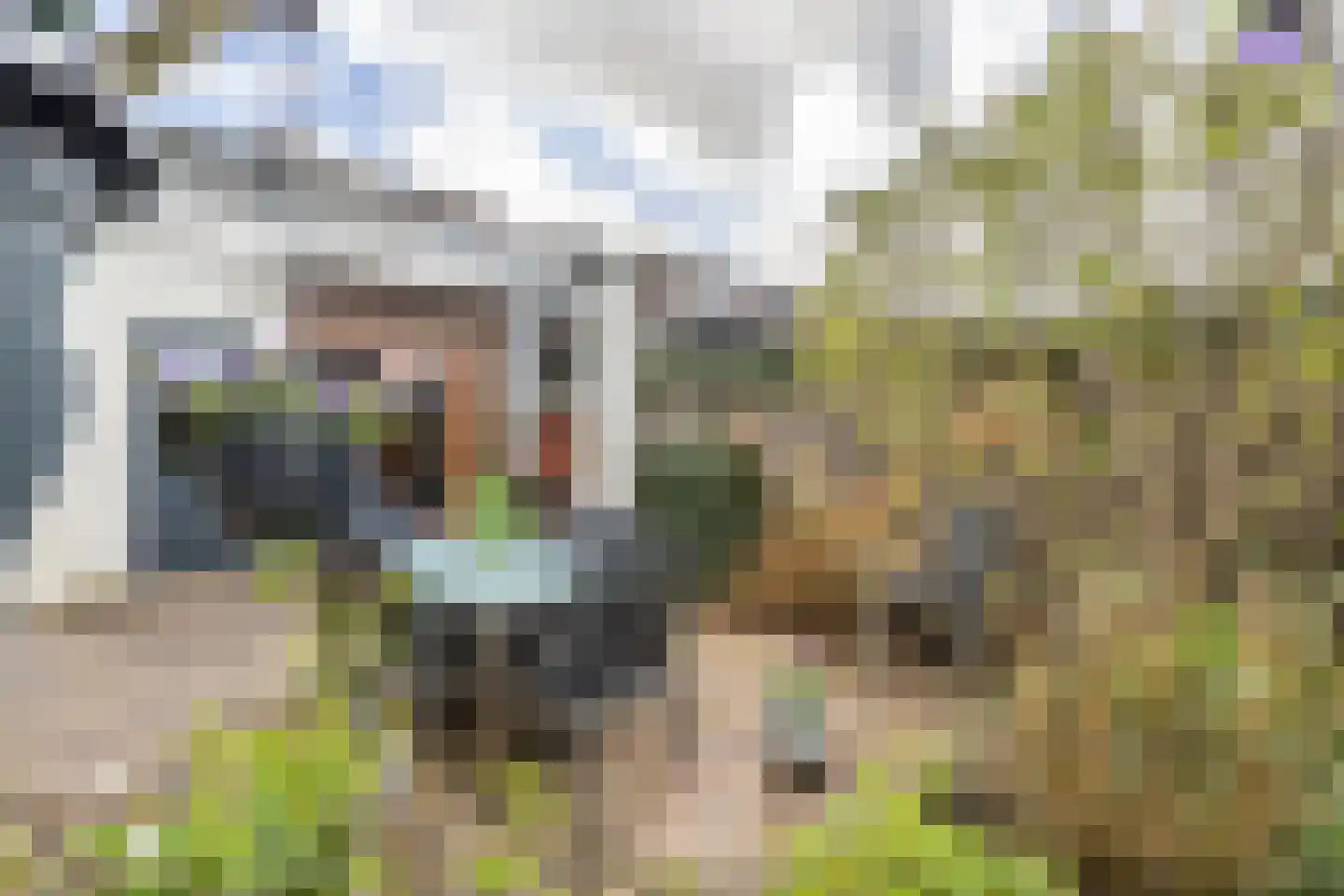 Tulpstraat 22 Leerdam thumbnail 12