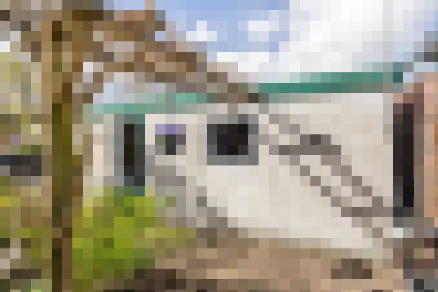 Tulpstraat 22 Leerdam thumbnail 15