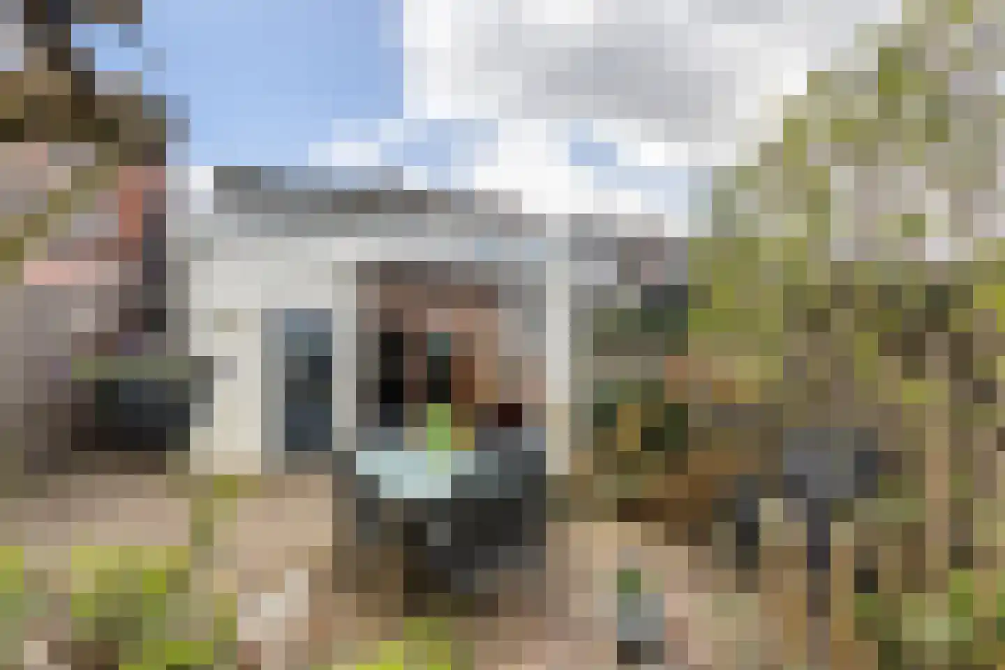 Tulpstraat 22 Leerdam thumbnail 4