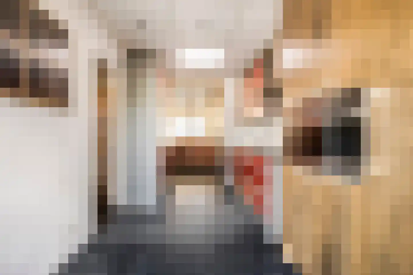 Tulpstraat 22 Leerdam thumbnail 8