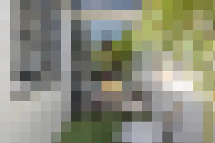 Tulpstraat 23 Baarn thumbnail 17