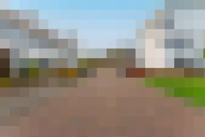 Tulpstraat 23 Eindhoven thumbnail 10