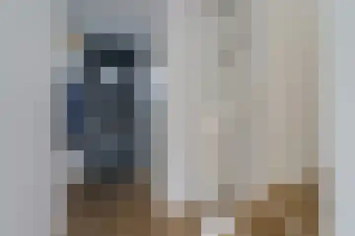 Tulpstraat 23 Eindhoven thumbnail 11