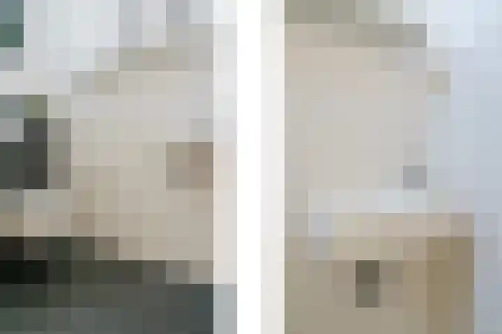Tulpstraat 23 Eindhoven thumbnail 12