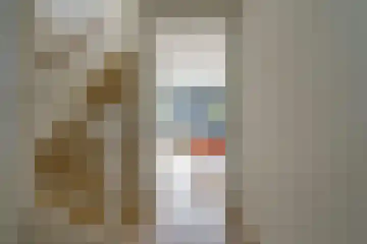 Tulpstraat 23 Eindhoven thumbnail 13