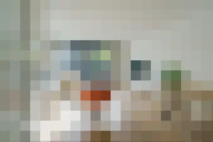 Tulpstraat 23 Eindhoven thumbnail 14