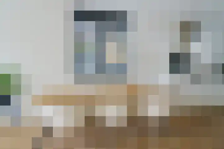 Tulpstraat 23 Eindhoven thumbnail 15