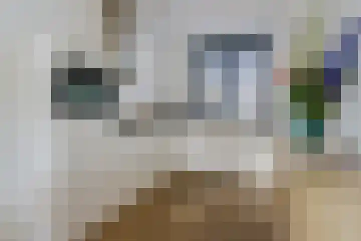 Tulpstraat 23 Eindhoven thumbnail 16