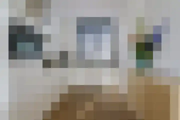 Tulpstraat 23 Eindhoven thumbnail 17