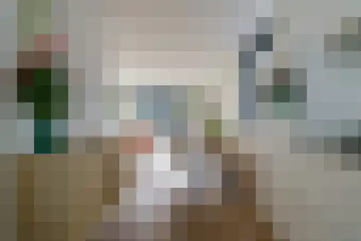 Tulpstraat 23 Eindhoven thumbnail 18