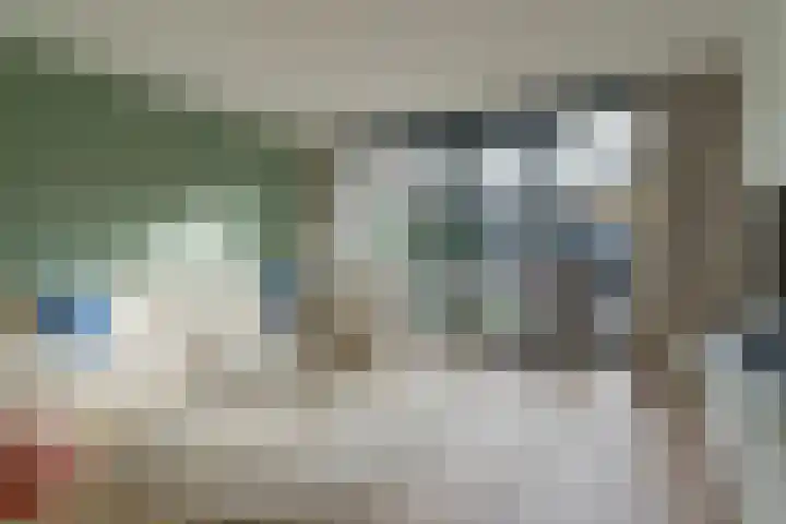 Tulpstraat 23 Eindhoven thumbnail 22