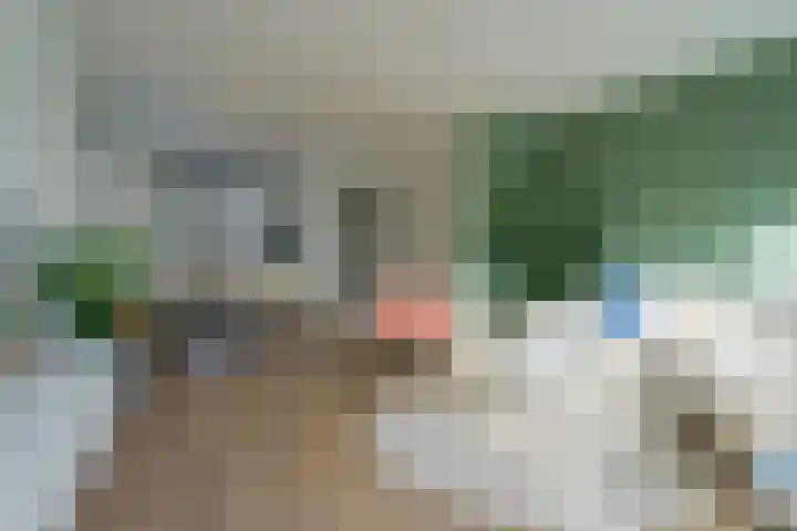 Tulpstraat 23 Eindhoven thumbnail 23
