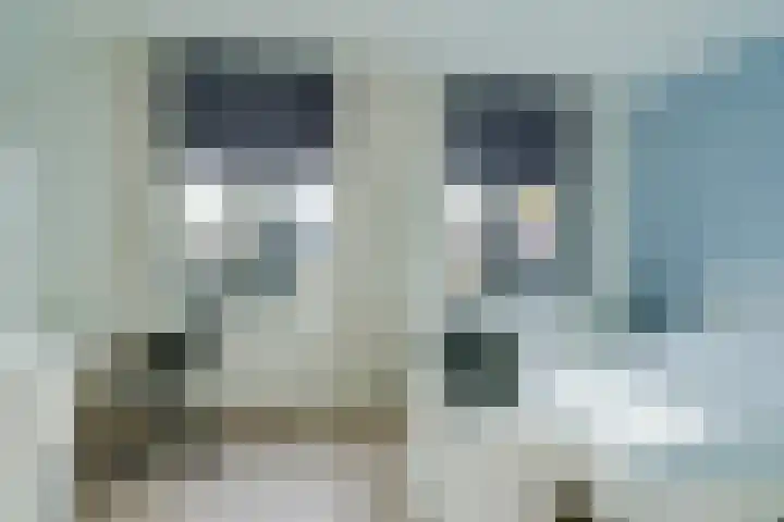 Tulpstraat 23 Eindhoven thumbnail 26