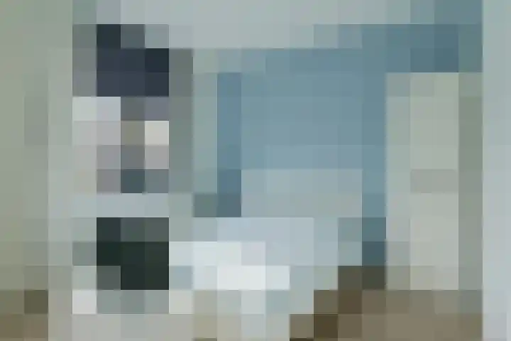 Tulpstraat 23 Eindhoven thumbnail 27