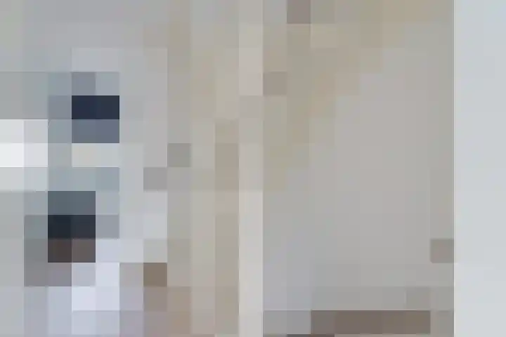 Tulpstraat 23 Eindhoven thumbnail 29