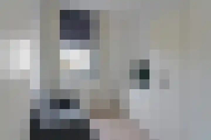 Tulpstraat 23 Eindhoven thumbnail 30
