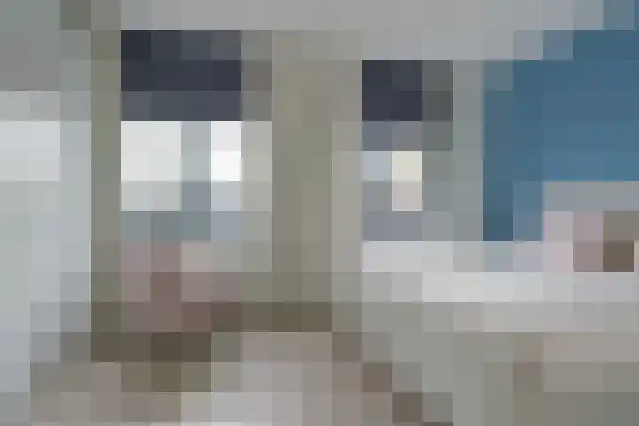Tulpstraat 23 Eindhoven thumbnail 37
