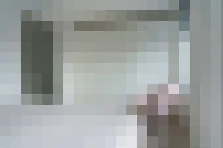 Tulpstraat 23 Eindhoven thumbnail 39